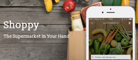 Job Offer: Co-Founder of Shoppy // Disrupting the way we buy daily products