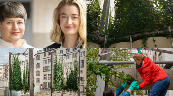 OMC°C bringt frischen Wind in das Thema urbane Begrünung OMC°C bringt frischen Wind in das Thema urbane Begrünung